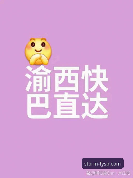 风云体育官方入口推荐全面解析：安全直达通道的深度思考